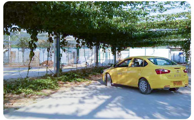 鼓楼福飞路校区C1学生班
